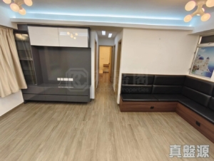 新港城 1期 B座 - 28NTS – 香港北部都會區