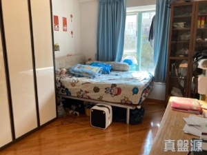 帝欣苑 2期 33座 - 28NTS – 香港北部都會區