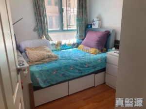 帝欣苑 2期 33座 - 28NTS – 香港北部都會區