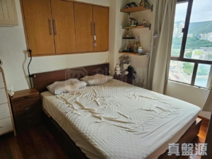 富豪花園 麗人閣 (N座) - 28NTS – 香港北部都會區