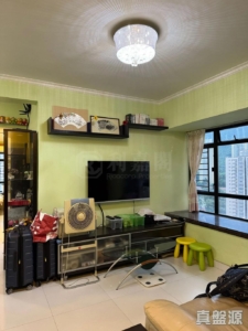 新港城 4期 M座 - 28NTS – 香港北部都會區
