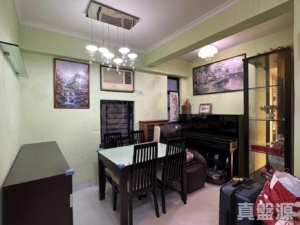 新港城 4期 M座 - 28NTS – 香港北部都會區
