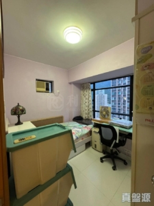新港城 4期 M座 - 28NTS – 香港北部都會區
