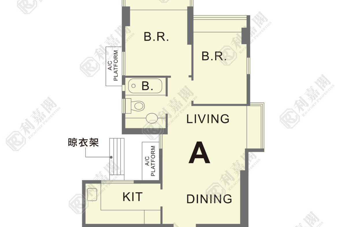 17905302438748_2000_ricacorp.png