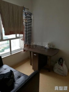 粉嶺名都 龍騰閣 (4座) - 28NTS – 香港北部都會區