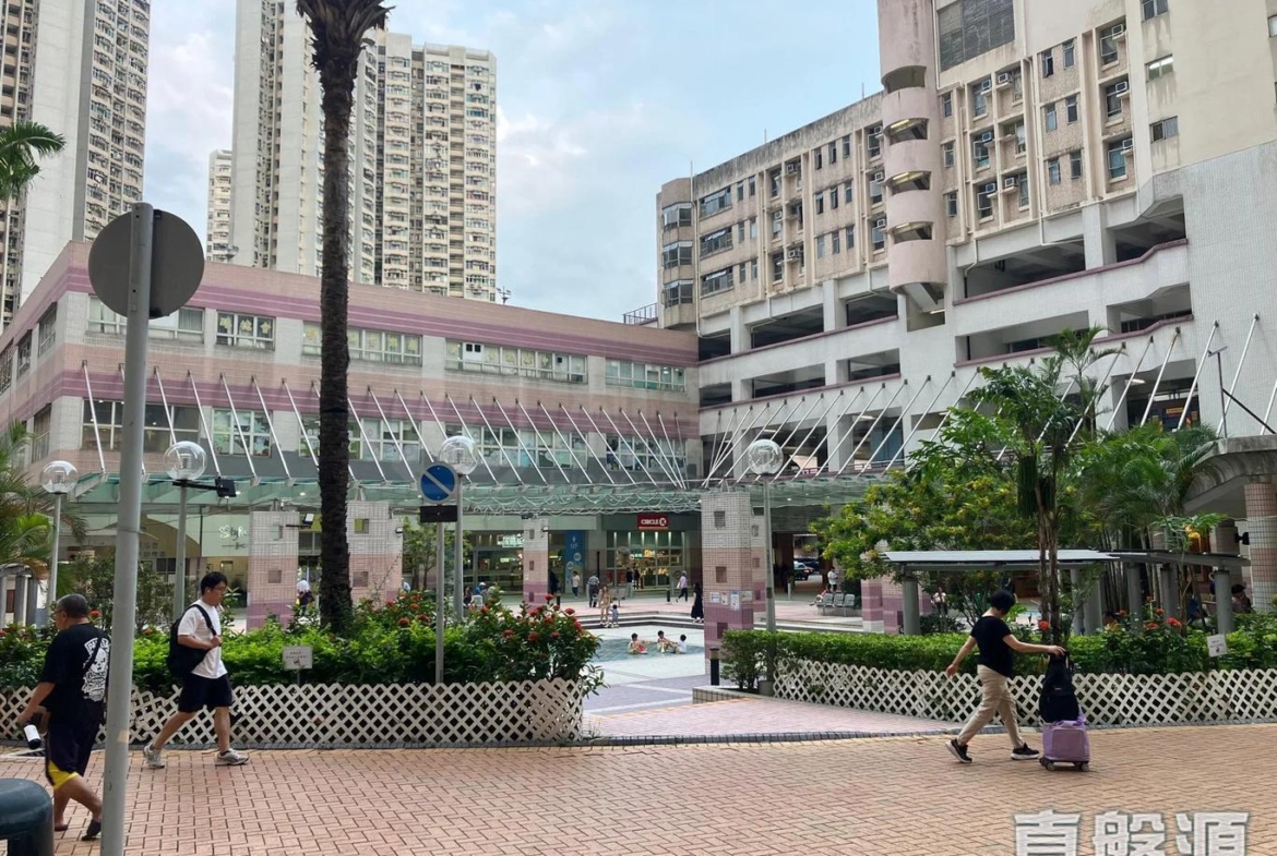雍盛苑 雍薈閣 (A座) - 28NTS – 香港北部都會區