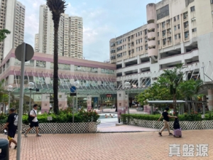 雍盛苑 雍薈閣 (A座) - 28NTS – 香港北部都會區