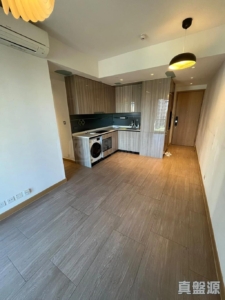 雲海 1期 Maple Court 2座 - 28NTS – 香港北部都會區