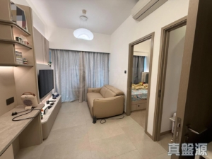 SILICON HILL 1期 翠景閣 第3座 - 28NTS – 香港北部都會區