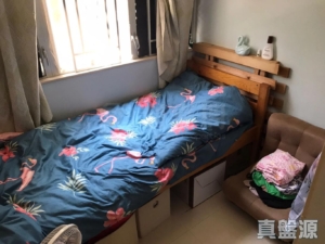 寶雅苑 逸和閣 (A座) - 28NTS – 香港北部都會區