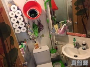 寶雅苑 逸和閣 (A座) - 28NTS – 香港北部都會區