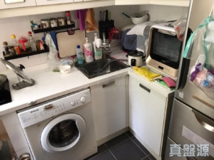 寶雅苑 逸和閣 (A座) - 28NTS – 香港北部都會區
