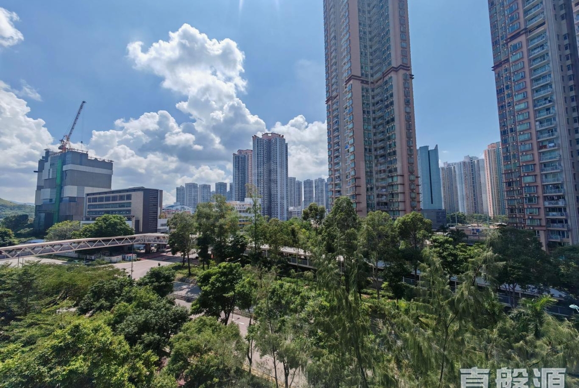WETLAND SEASONS PARK 2期 5座 - 28NTS – 香港北部都會區