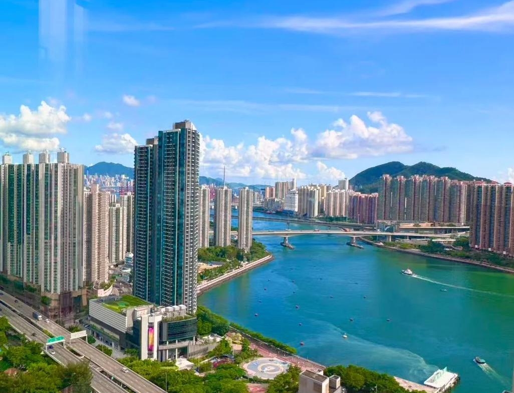全．城匯 8座 - 28NTS – 香港北部都會區