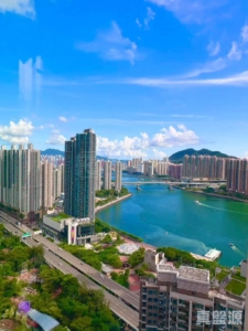 全．城匯 8座 - 28NTS – 香港北部都會區