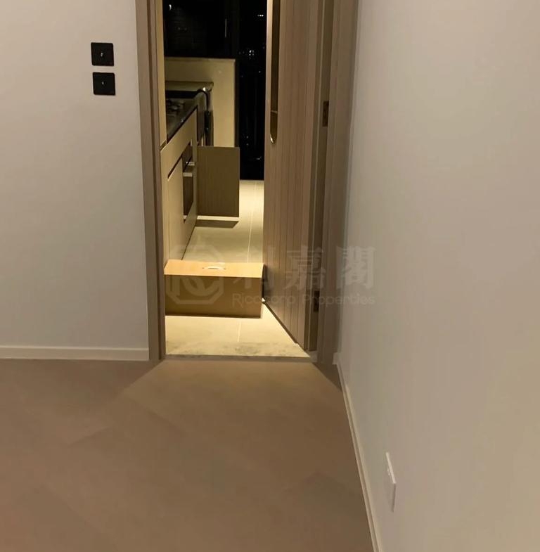 柏傲莊 1期 3座 (3B) - 28NTS – 香港北部都會區