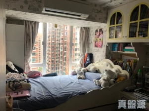 希爾頓中心 B座 - 28NTS – 香港北部都會區