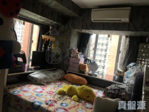 希爾頓中心 B座 - 28NTS – 香港北部都會區
