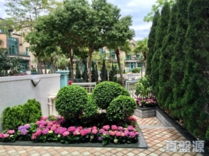 淺月灣 1期 - 28NTS – 香港北部都會區
