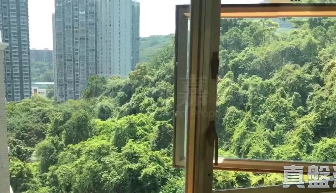 新峰花園 4期 御峰豪園 30座 - 28NTS – 香港北部都會區