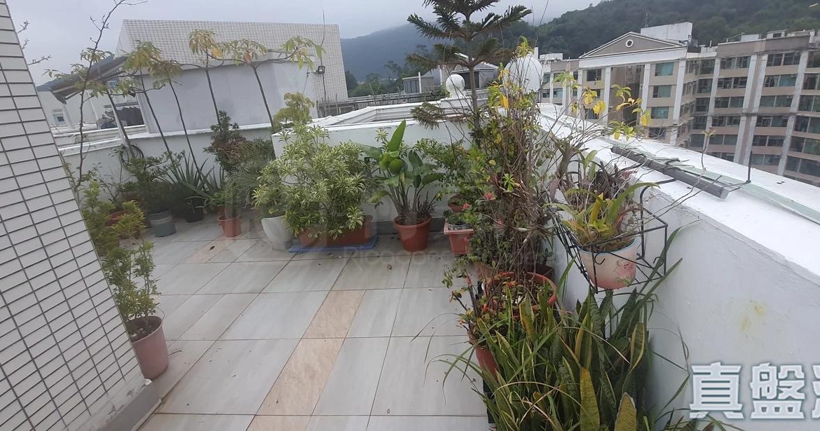 新峰花園 1期 16座 - 28NTS – 香港北部都會區