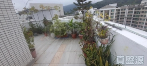 新峰花園 1期 16座 - 28NTS – 香港北部都會區