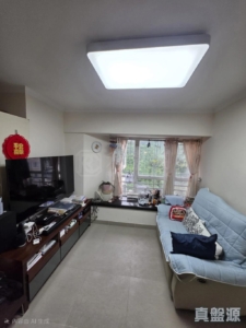 恒峰花園 1座 - 28NTS – 香港北部都會區