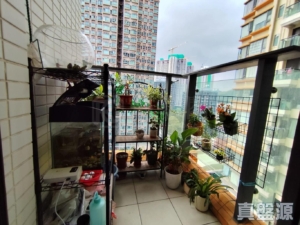 逸峯 2座 - 28NTS – 香港北部都會區