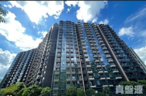 天鑽 1座 - 28NTS – 香港北部都會區