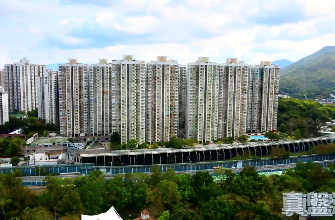 粉嶺中心 1期 C座 - 28NTS – 香港北部都會區