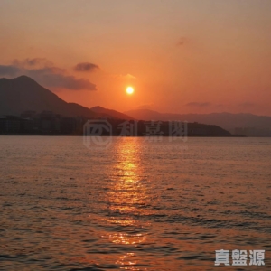 迎海 5期 迎海．御峰 11座 - 28NTS – 香港北部都會區