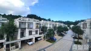 歌賦嶺 - 28NTS – 香港北部都會區
