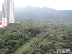 雅景臺 4座 - 28NTS – 香港北部都會區
