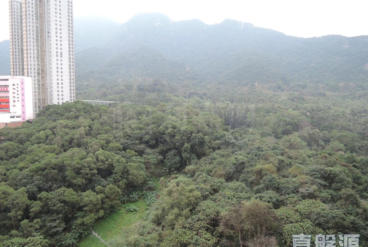 雅景臺 4座 - 28NTS – 香港北部都會區