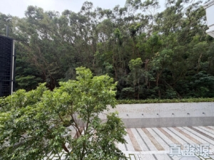 名日．九肚山 1座 - 28NTS – 香港北部都會區