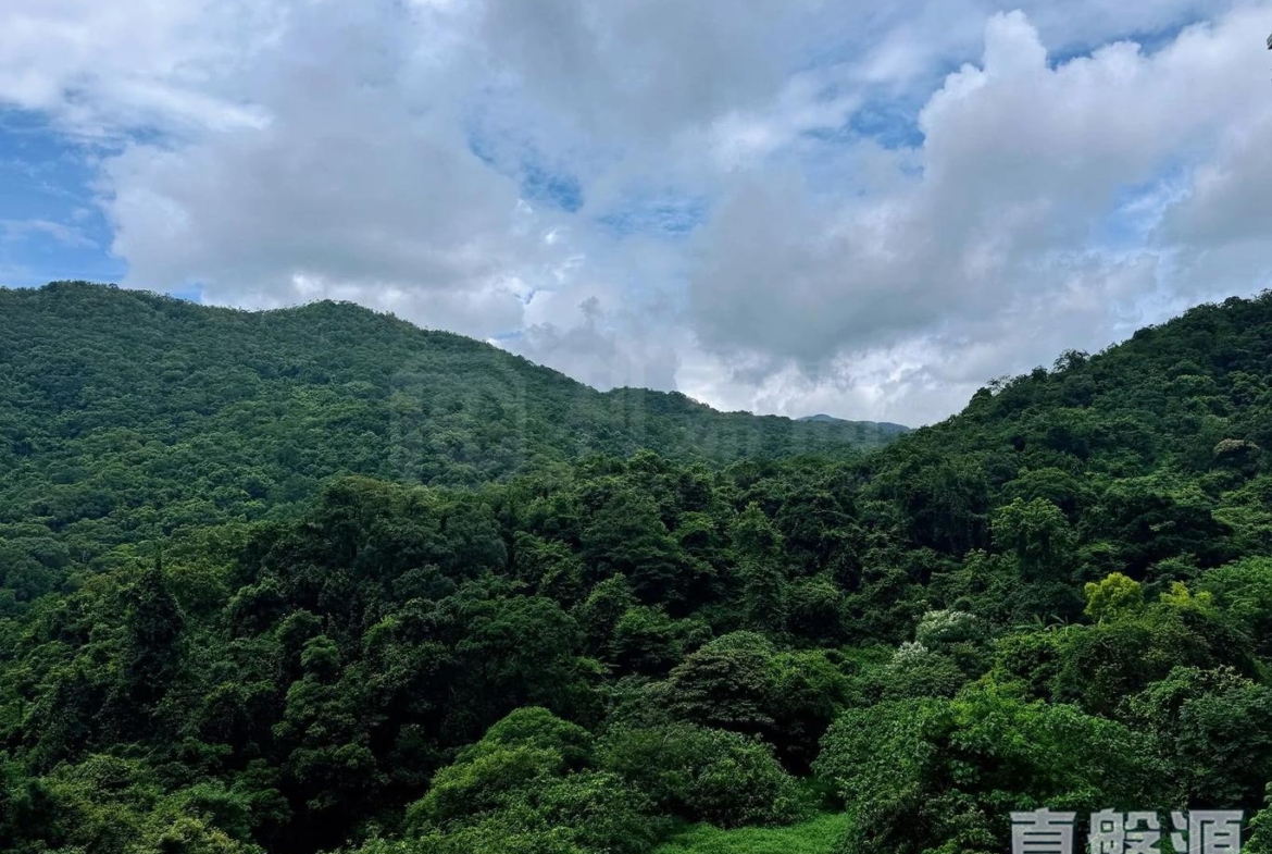 玖瓏山 傲瓏閣 第1座 - 28NTS – 香港北部都會區