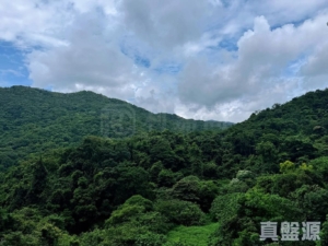 玖瓏山 傲瓏閣 第1座 - 28NTS – 香港北部都會區