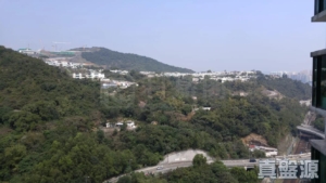 駿景園 2期 11座 - 28NTS – 香港北部都會區
