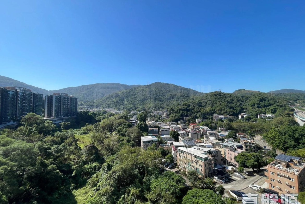 天鑽 1座 - 28NTS – 香港北部都會區