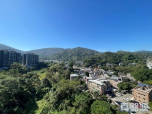 天鑽 1座 - 28NTS – 香港北部都會區