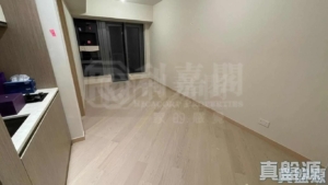 天鑽 1座 - 28NTS – 香港北部都會區