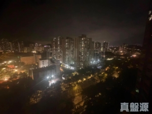 天平邨 天美樓 (5座) - 28NTS – 香港北部都會區