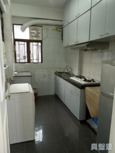 瑞柏園 6座 - 28NTS – 香港北部都會區