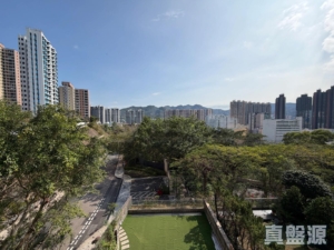 晉名峰 - 28NTS – 香港北部都會區