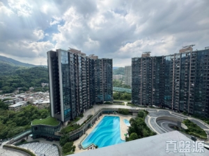 天鑽 8座 - 28NTS – 香港北部都會區