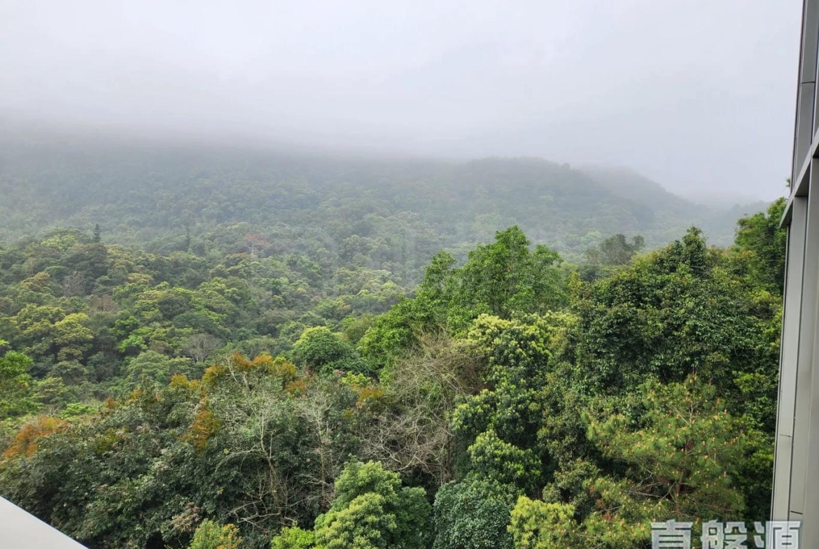 富豪‧山峯 - 28NTS – 香港北部都會區