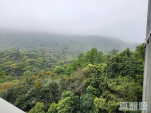 富豪‧山峯 - 28NTS – 香港北部都會區