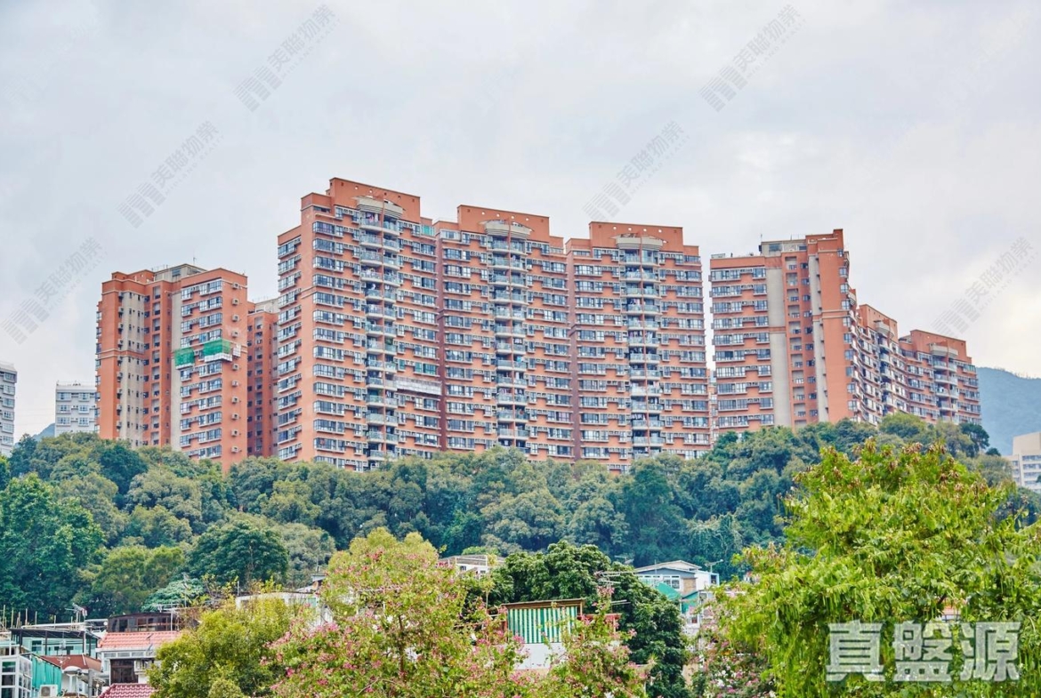 聚龍居 11座 - 28NTS – 香港北部都會區