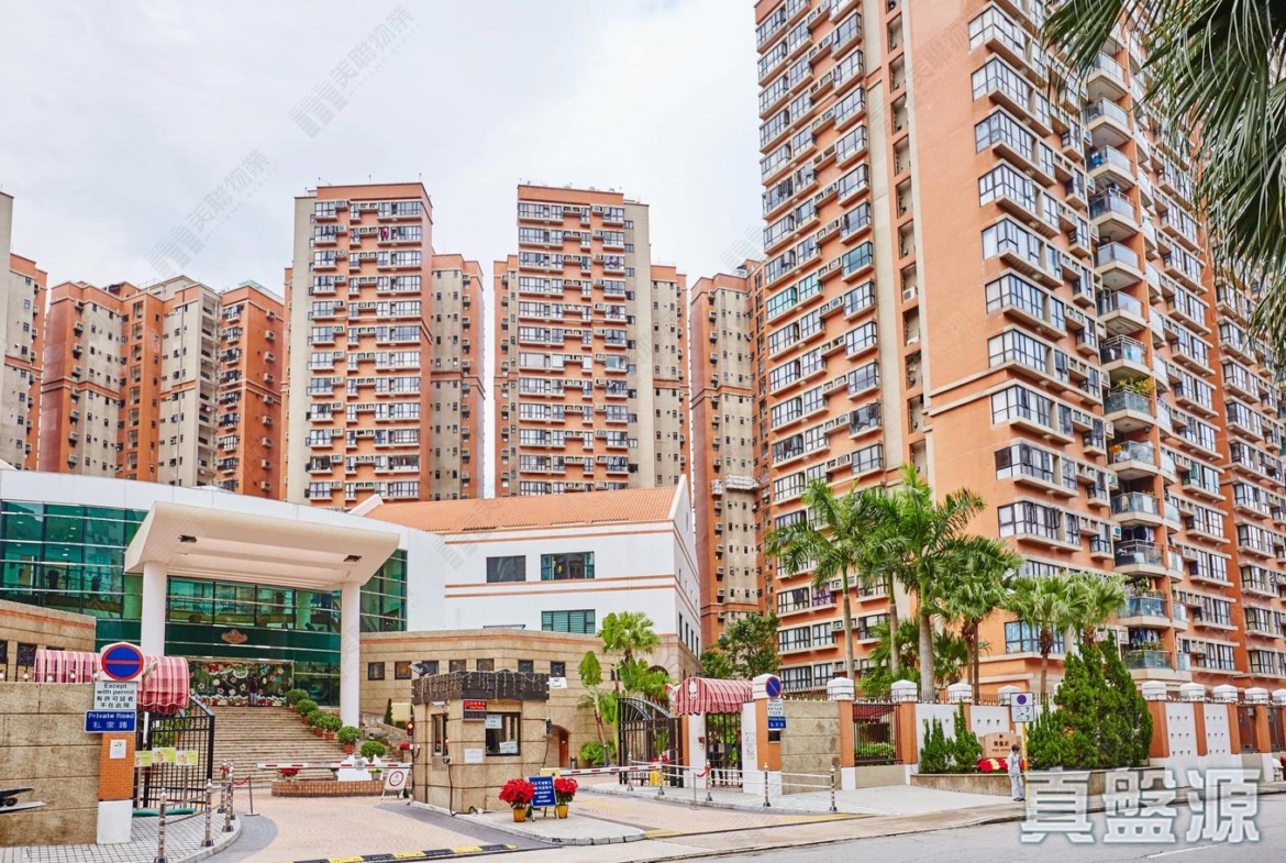聚龍居 11座 - 28NTS – 香港北部都會區