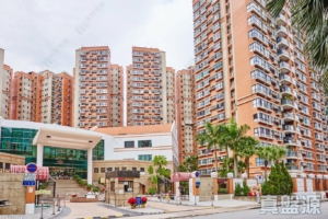 聚龍居 11座 - 28NTS – 香港北部都會區